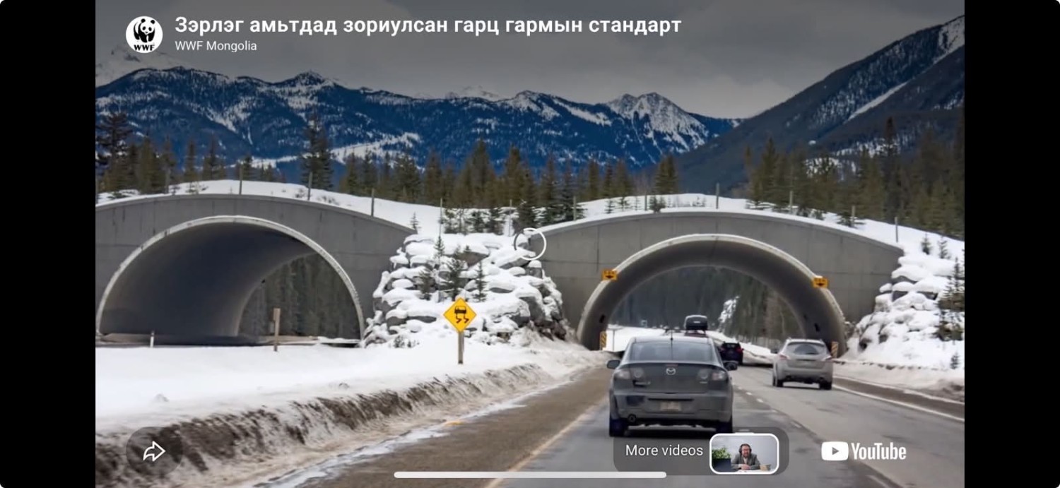 Д.Гэрэлням: Авто зам, төмөр зам барихдаа зөвхөн хүнийг бодох биш, зэрлэг амьтдын амьдралын нөхцөлийг хадгалах ёстой